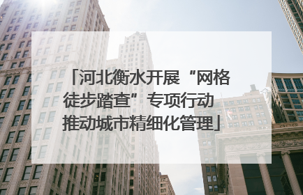 河北衡水开展“网格徒步踏查”专项行动 推动城市精细化管理