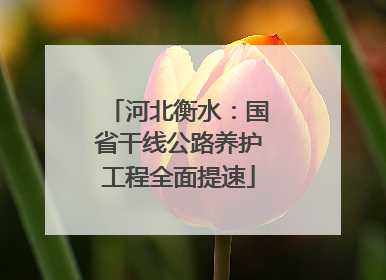 河北衡水：国省干线公路养护工程全面提速