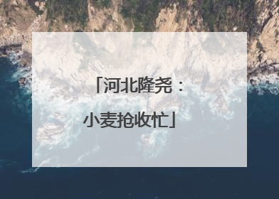 河北隆尧：小麦抢收忙