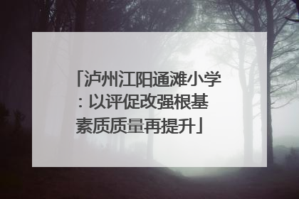 泸州江阳通滩小学：以评促改强根基 素质质量再提升
