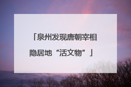 泉州发现唐朝宰相隐居地“活文物”