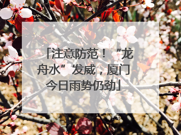 注意防范！“龙舟水”发威，厦门今日雨势仍劲