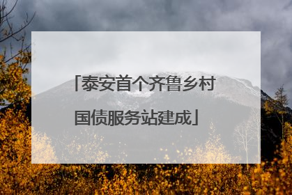泰安首个齐鲁乡村国债服务站建成