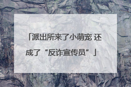 派出所来了小萌宠 还成了“反诈宣传员”