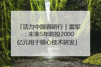 活力中国调研行｜雷军：未来5年将投2000亿元用于核心技术研发