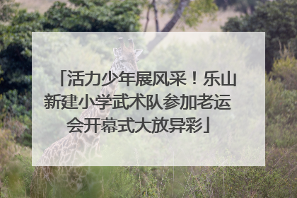 活力少年展风采！乐山新建小学武术队参加老运会开幕式大放异彩