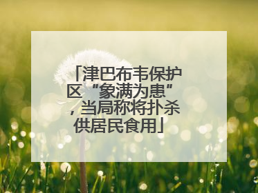 津巴布韦保护区“象满为患”，当局称将扑杀供居民食用