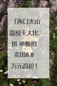 海口火山荔枝王大比拼 单颗拍卖出6.8万元高价