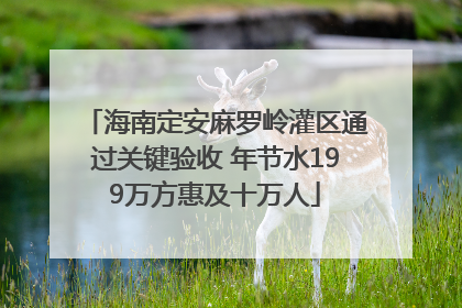 海南定安麻罗岭灌区通过关键验收 年节水199万方惠及十万人