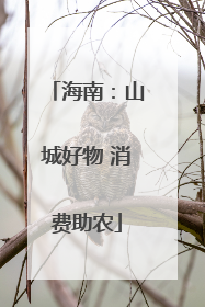 海南：山城好物 消费助农