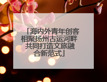 海内外青年创客相聚扬州古运河畔 共同打造文旅融合新范式