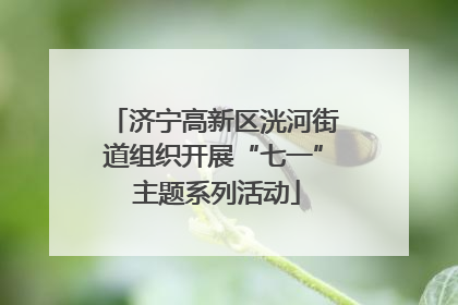 济宁高新区洸河街道组织开展“七一” 主题系列活动