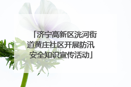 济宁高新区洸河街道黄庄社区开展防汛安全知识宣传活动