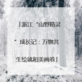 浙江“山野精灵”成长记：万物共生绘就和美画卷