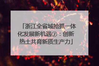 浙江全省域抢抓一体化发展新机遇②：创新热土共育新质生产力