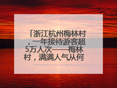 浙江杭州梅林村，一年接待游客超5万人次——梅林村，满满人气从何来（经济新方位·农村消费观察）
