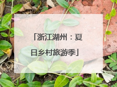 浙江湖州：夏日乡村旅游季