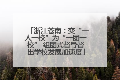 浙江苍南：变“一人一校”为“一团一校” 组团式督导督出学校发展加速度