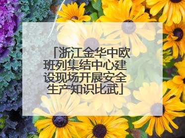浙江金华中欧班列集结中心建设现场开展安全生产知识比武