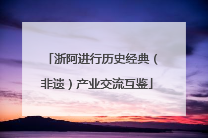 浙阿进行历史经典（非遗）产业交流互鉴