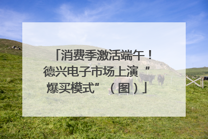 消费季激活端午！德兴电子市场上演“爆买模式”（图）