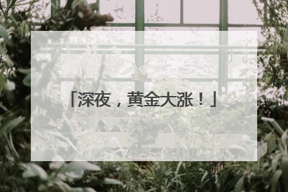 深夜，黄金大涨！