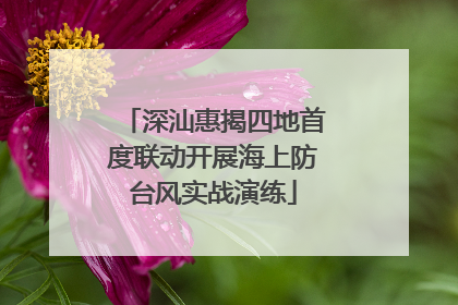 深汕惠揭四地首度联动开展海上防台风实战演练