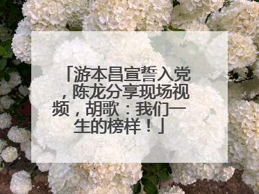 游本昌宣誓入党，陈龙分享现场视频，胡歌：我们一生的榜样！