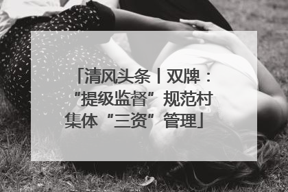 清风头条丨双牌：“提级监督”规范村集体“三资”管理
