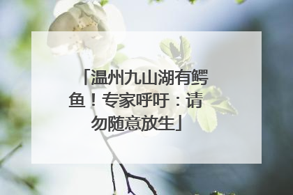 温州九山湖有鳄鱼！专家呼吁：请勿随意放生
