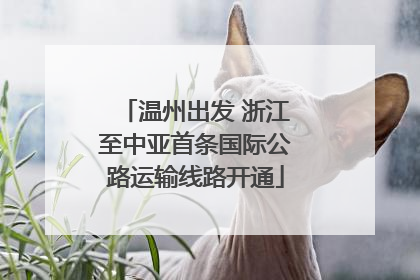 温州出发 浙江至中亚首条国际公路运输线路开通