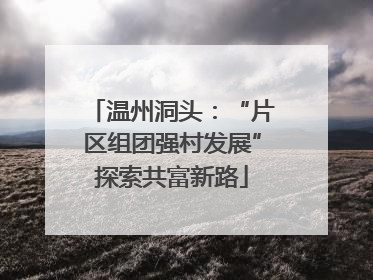 温州洞头：“片区组团强村发展”探索共富新路