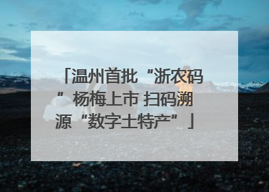 温州首批“浙农码”杨梅上市 扫码溯源“数字土特产”