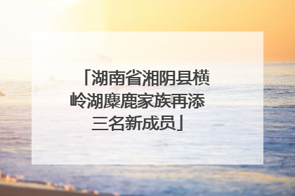 湖南省湘阴县横岭湖麋鹿家族再添三名新成员