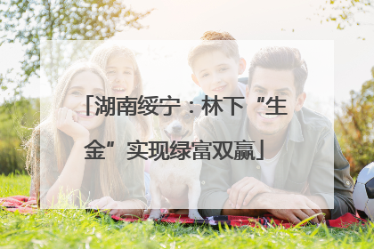 湖南绥宁：林下“生金”实现绿富双赢
