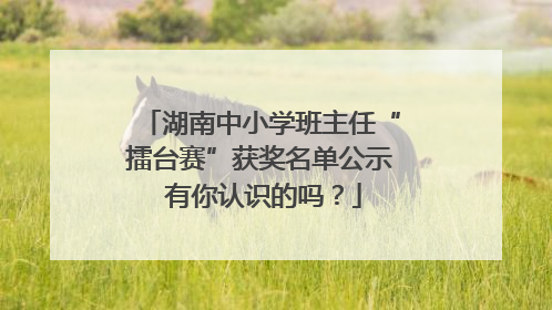 湖南中小学班主任“擂台赛”获奖名单公示 有你认识的吗？