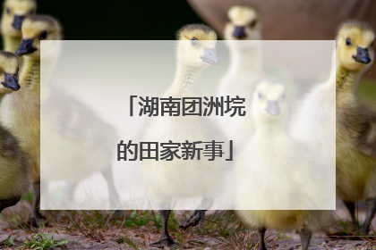 湖南团洲垸的田家新事