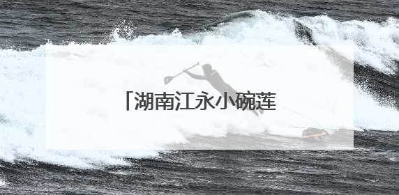 湖南江永小碗莲绽放致富新活力