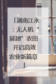湖南江永：无人机“展翅”农田 开启高效农业新篇章