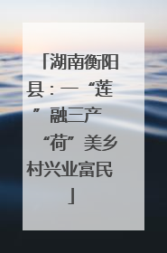 湖南衡阳县：一“莲”融三产 “荷”美乡村兴业富民