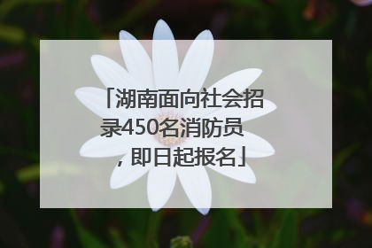 湖南面向社会招录450名消防员，即日起报名