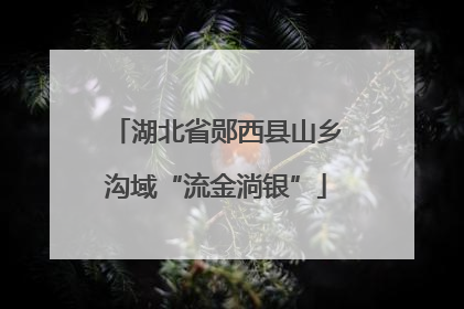 湖北省郧西县山乡沟域“流金淌银”