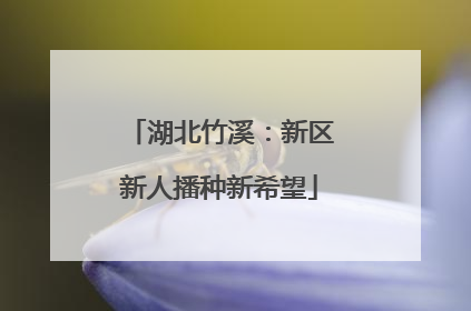 湖北竹溪：新区新人播种新希望