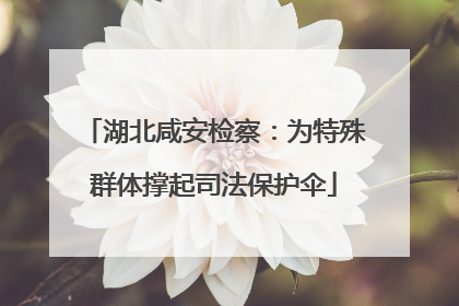 湖北咸安检察：为特殊群体撑起司法保护伞