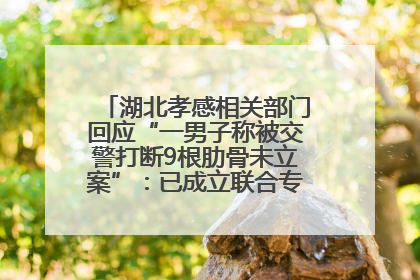 湖北孝感相关部门回应“一男子称被交警打断9根肋骨未立案”：已成立联合专班开展工作