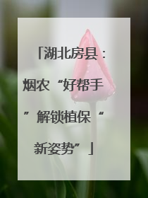 湖北房县：烟农“好帮手”解锁植保“新姿势”