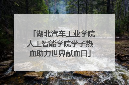 湖北汽车工业学院人工智能学院学子热血助力世界献血日