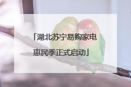 湖北苏宁易购家电惠民季正式启动