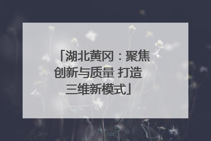 湖北黄冈：聚焦创新与质量 打造三维新模式