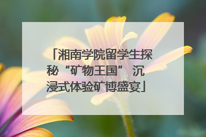 湘南学院留学生探秘“矿物王国” 沉浸式体验矿博盛宴